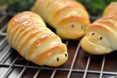 Caterpillar パン